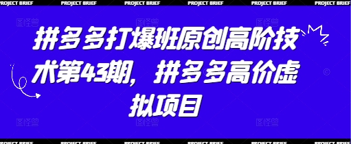 拼多多打爆班原创高阶技术第43期，拼多多高价虚拟项目-轻创终点站