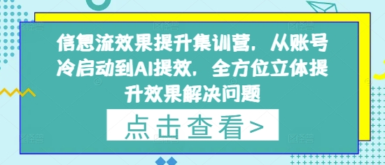信息流效果提升集训营，从账号冷启动到AI提效，全方位立体提升效果解决问题-轻创终点站