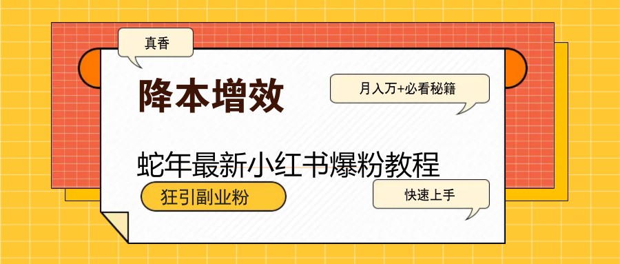 蛇年最新小红书爆粉教程，狂引副业粉，月入万+必看-轻创终点站