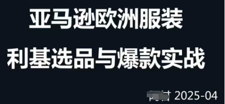 跨境电商选品案例24-25年，聚焦跨境电商选品策略与运营优化，助力卖家挖掘蓝海市场-轻创终点站
