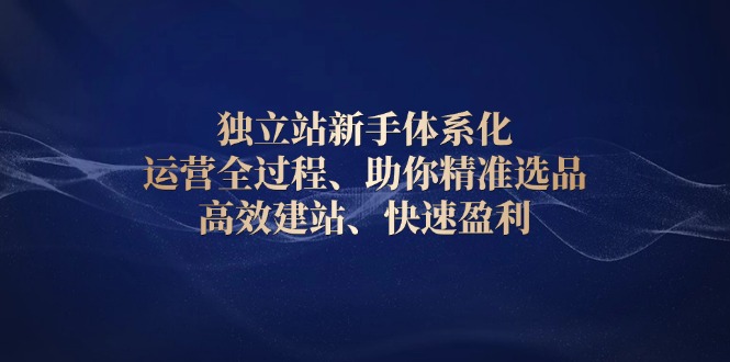 独立站新手体系化 运营全过程，助你精准选品、高效建站、快速盈利-轻创终点站