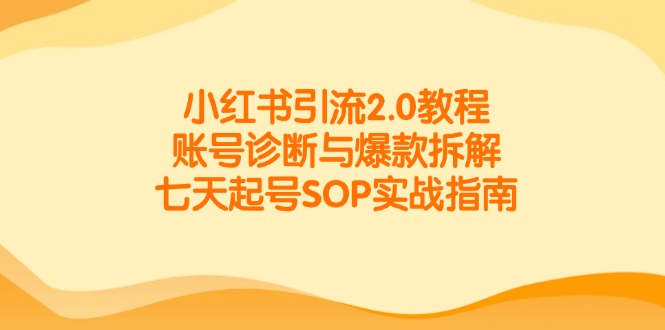 小红书引流2.0教程，账号诊断与爆款拆解，七天起号SOP实战指南-轻创终点站