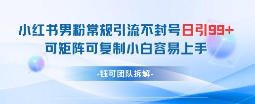 小红书男粉常规引流不封号日引99+变现简单 可矩阵可复制小白容易上手-轻创终点站
