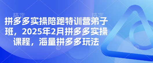 拼多多实操陪跑特训营弟子班，2025年2月拼多多实操课程，海量拼多多玩法-轻创终点站