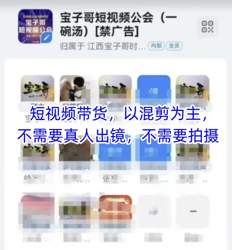 宝子哥头部团队短视频带货，以混剪为主，不需要真人出镜，不需要拍摄【更新】-轻创终点站