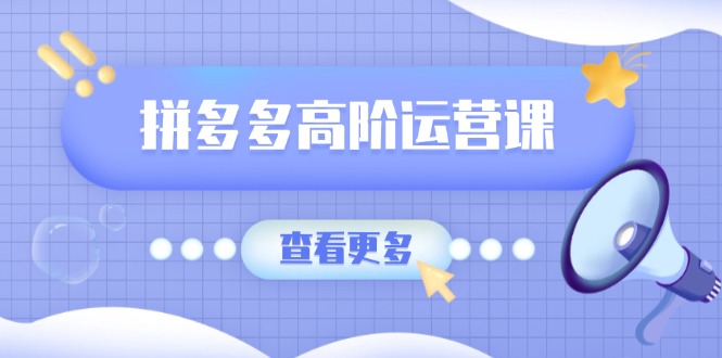 拼多多高阶运营课：极致群爆款玩法，轻付费无尽复制，打造单品爆款之路-轻创终点站