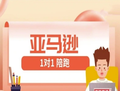 亚马逊1对1陪跑课(FBA/FBM精铺)跨境亚马逊教程-轻创终点站