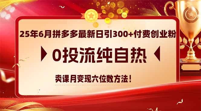 25年6月拼多多最新日引300+付费创业粉，0投流纯自热 卖课月变现六位数方法-轻创终点站