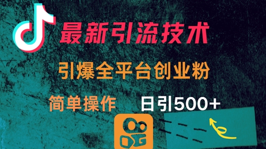 最新引流方法，引爆全平台的一个创业粉，简单操作日引300+-轻创终点站