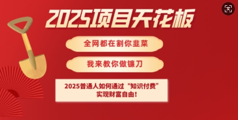2025项目天花板普通人如何通过知识付费，实现财F自由【揭秘】-轻创终点站